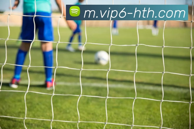 华体会服务体系