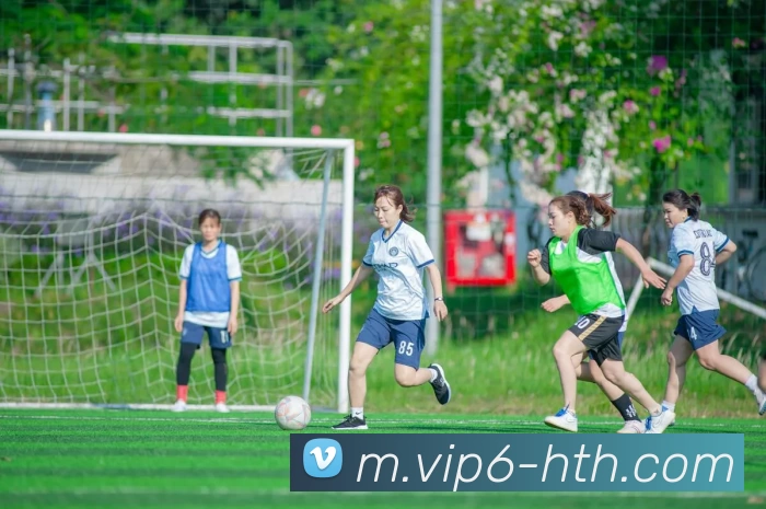 多媒体互动体验