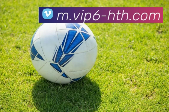 华体会APP 体育赛事宣传图